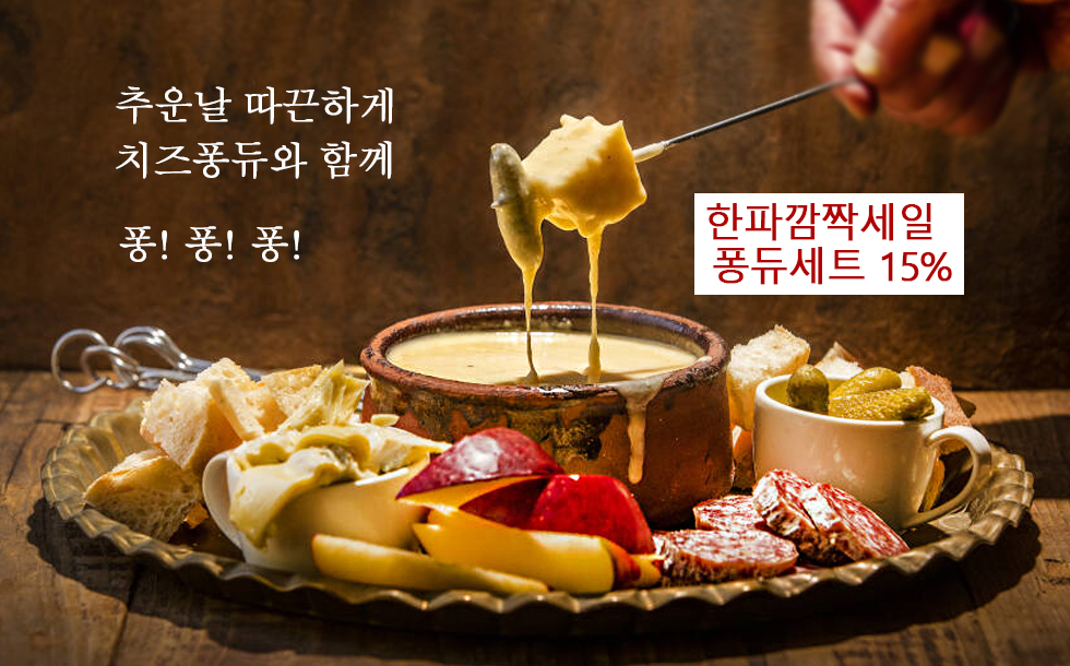 サマーセール35%オフ Boska Monaco Cheese Raclette Demi 110V 並行