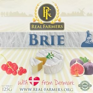 이미지 상세보기